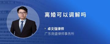离婚可以调解吗