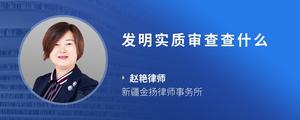 发明实质审查查什么