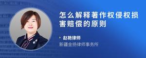 怎么解释著作权侵权损害赔偿的原则