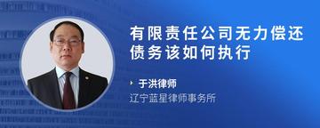 有限责任公司无力偿还债务该如何执行