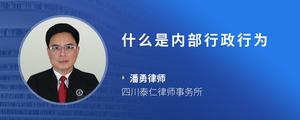 什么是内部行政行为