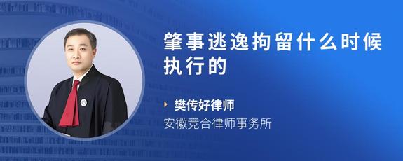 肇事逃逸拘留什么时候执行的