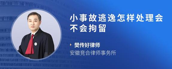 小事故逃逸怎样处理会不会拘留