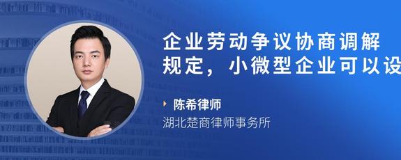 企业劳动争议协商调解规定,小微型企业可以设立什么呢