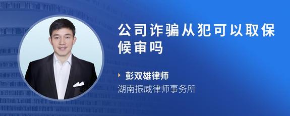 公司诈骗从犯可以取保候审吗