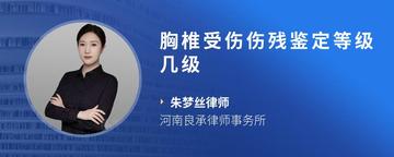 胸椎受伤伤残鉴定等级几级