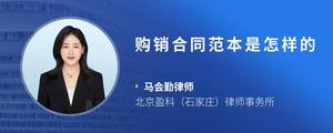 购销合同范本是怎样的
