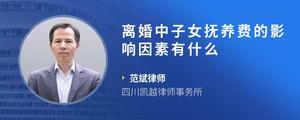 离婚中子女抚养费的影响因素有什么