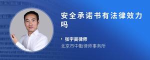 安全承诺书有法律效力吗