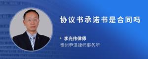 协议书承诺书是合同吗