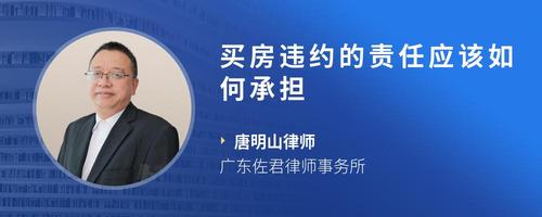 买房违约的责任应该如何承担