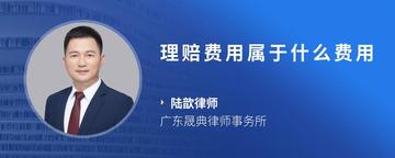 理赔费用属于什么费用