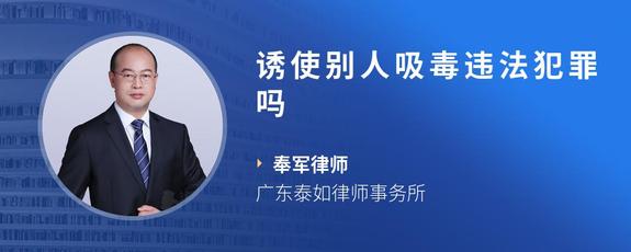 诱使别人吸毒违法犯罪吗